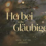 Herbei o ihr Gläubigen!
