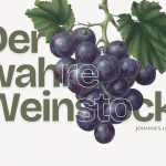 Der wahre Weinstock | Predigt Dekan Häußler