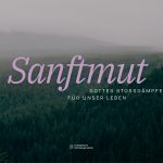 Sanftmut – Gottes Stoßdämpfer für unser Leben |  Pastor Siemen van Freeden