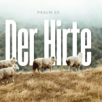 Der gute Hirte kennt seine Schafe